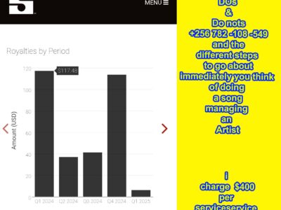 Understanding the music business from zero to hero