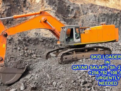 Skid Loaders (Urgently Needed) IN Qatar