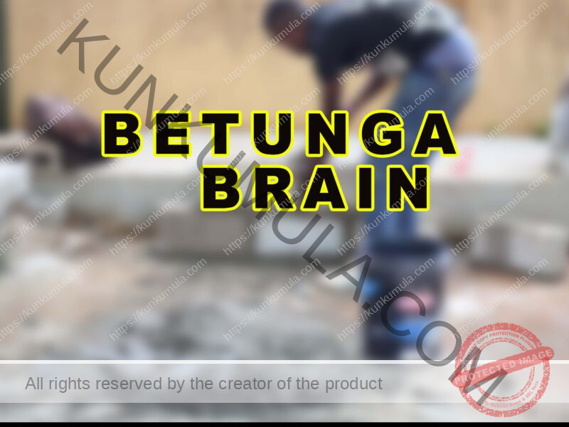 AM BETUNGA BRAIN A MASON FROM UGANDA