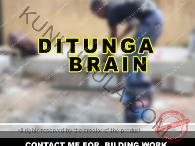 AM DITUNGA BRIAN