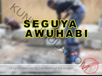 SEGUYA AWUHABI A MASON