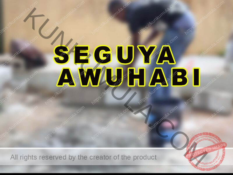 SEGUYA AWUHABI A MASON