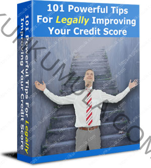 101 Powerful Tips for Legally Improving Your Credit Score Book