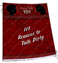 101 Reasons To Talk Dirty Book