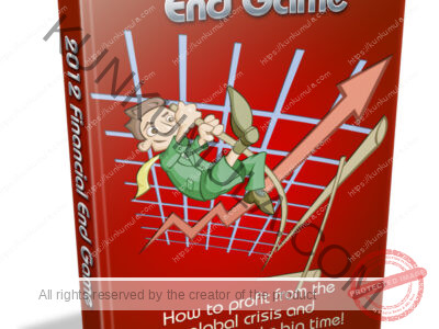 2012 Financial End Game Book