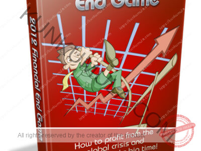 2012 Financial End Game Book