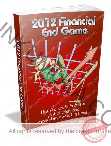 2012 Financial End Game Book