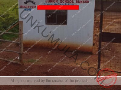 Bright Angels Junior School Bukasa ( Dream. Belive. Archive) registration in progress