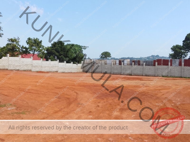 For Parking Services for Small Cars