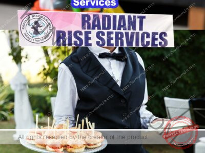 Professional Ushering Services