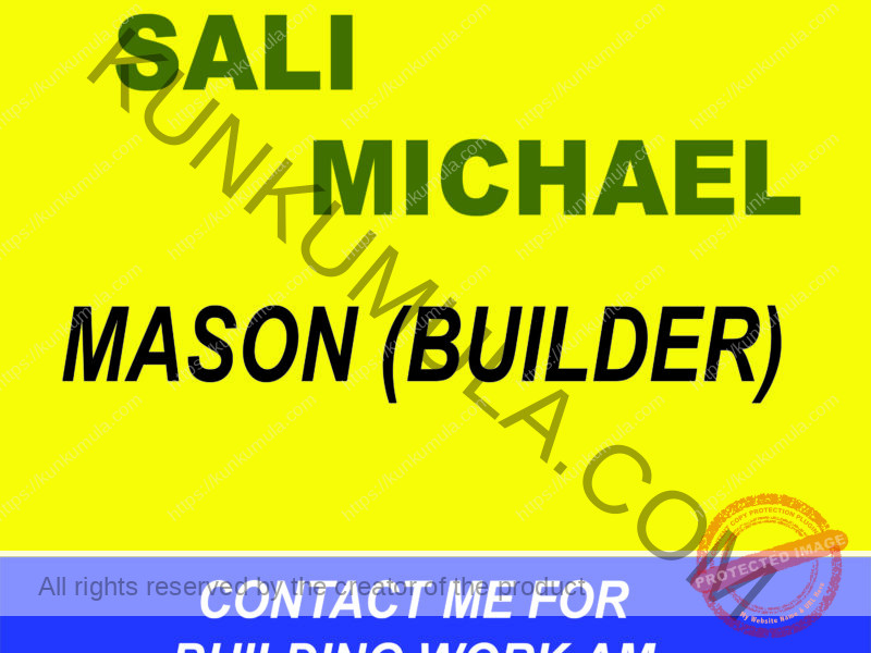 SALI MICHAEL A MASON