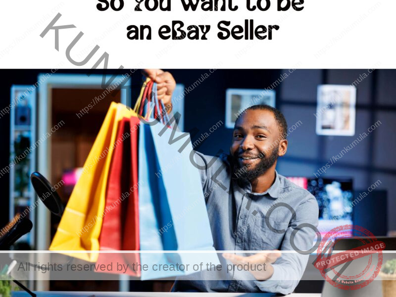 So You Want to be an eBay Seller