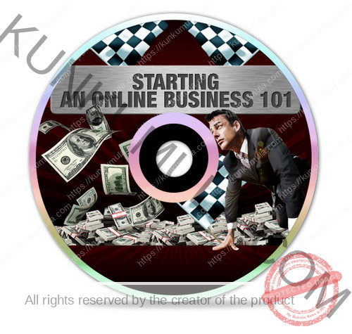 Starting an Online Business 101 Audio Book