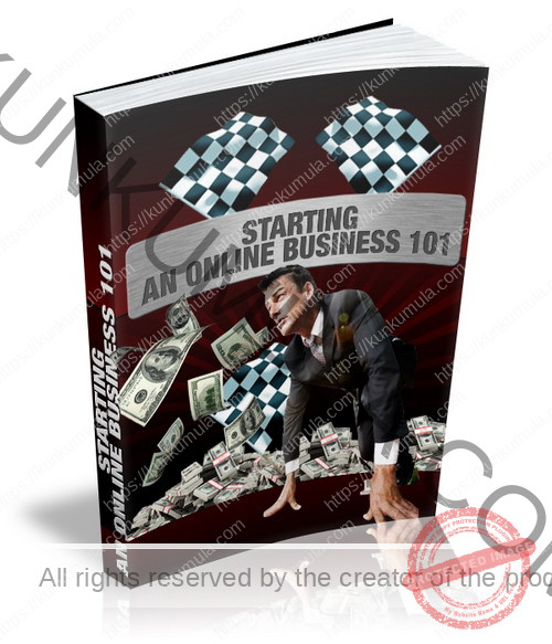 Starting an Online Business 101 Audio Book
