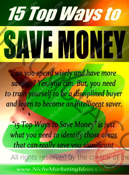 15 Top Ways to Save Money Book