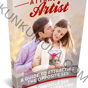 Attraction Artist Book