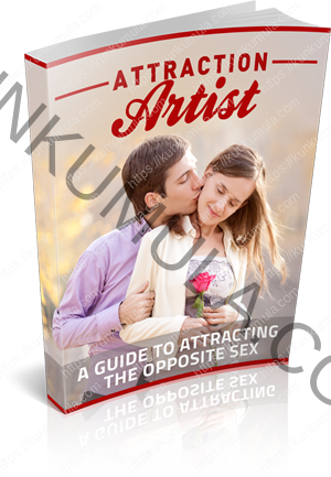 Attraction Artist Book