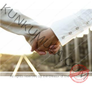 Attraction Artist Book