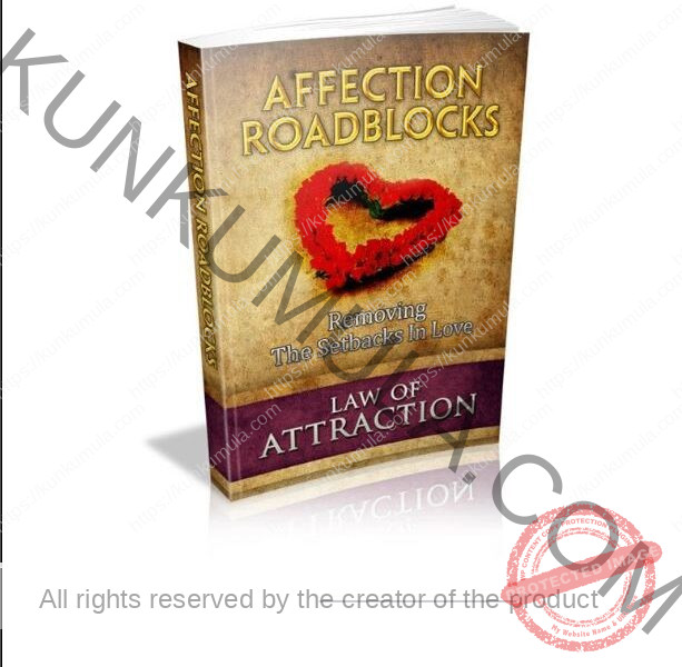 Affection Roadblocks The Law of Attraction Book in Pdf