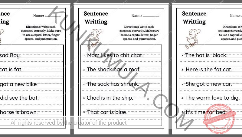 Write each sentence correctly. Make sure to use a capital letter, finger spaces, and punctuation.pdf in 10 pages