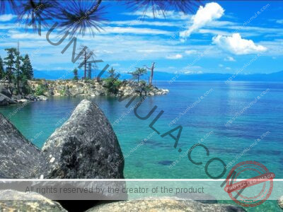 Tip_Sheet Breaking The Habits Of Sexual Addictions Book in books