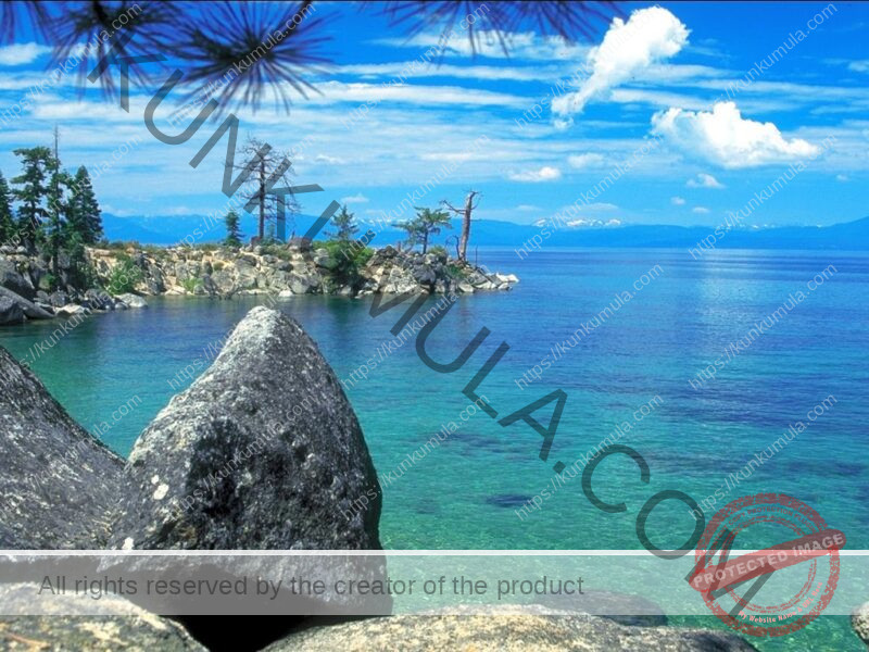 Tip_Sheet Breaking The Habits Of Sexual Addictions Book in books