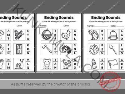Ending Sounds Circle the ending sound of each picture 10 Pages pdf