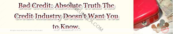 Bad Credit: Absolute Truth the Credit Industry Doesn't Want You to Know Book in Pdf