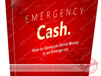 Emergency Cash: HowTo Generate Quick Cash In An Emergency Book In Pdf