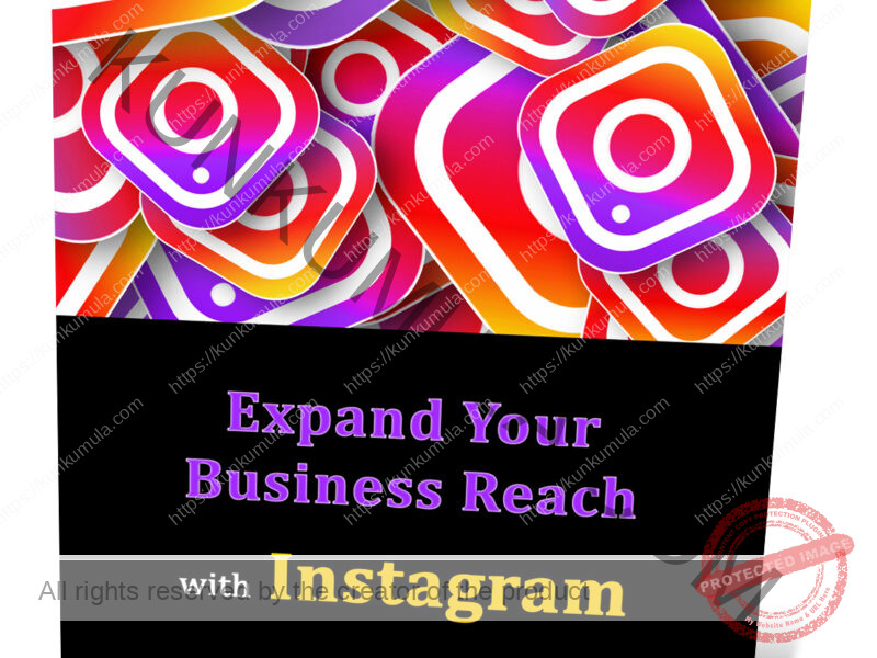Expand Your Business Reach With Instagram Book in Pdf