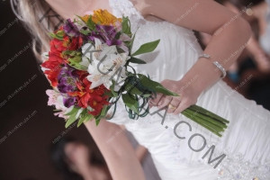 First Year Marriage Survival Book In Pdf