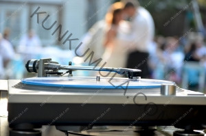 First Year Marriage Survival Book In Pdf