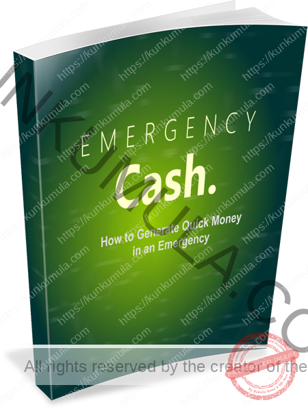 Emergency Cash: HowTo Generate Quick Cash In An Emergency Book In Pdf
