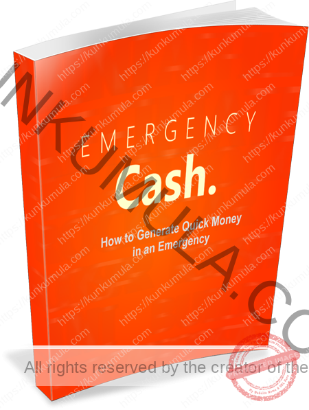 Emergency Cash: HowTo Generate Quick Cash In An Emergency Book In Pdf