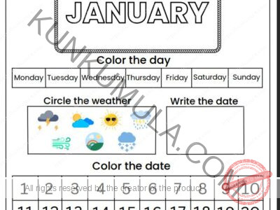 CALENDAR ACTIVITY PDF 12 MONTHS