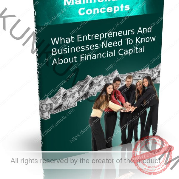 Capital Maintenance Concepts - What Entrepreneurs And Businesses Need To Know About Financial Capital pdf