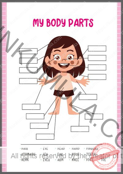 My Body Parts Book for Kids