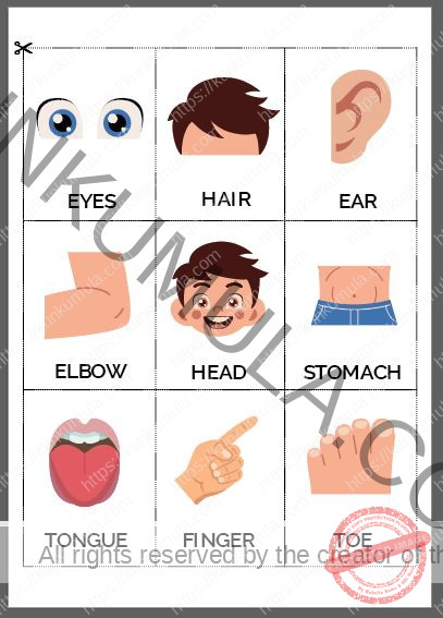 My Body Parts Book for Kids