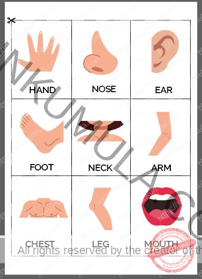 My Body Parts Book for Kids