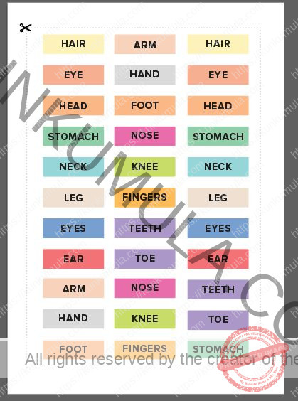 My Body Parts Book for Kids