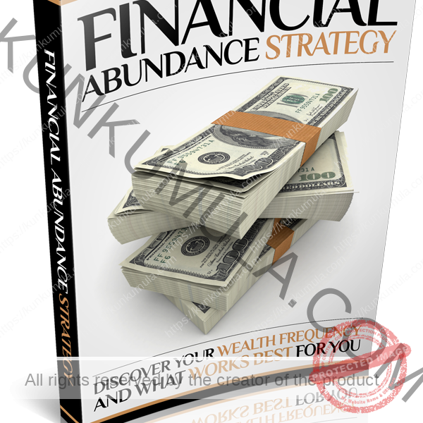 Financial Abundance Strategy