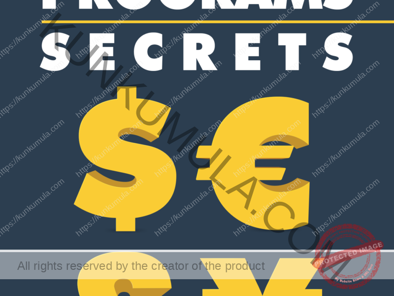 Currency Programs Secrets Book