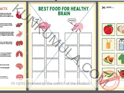 HUMAN ANATOMY BUSY BOOK