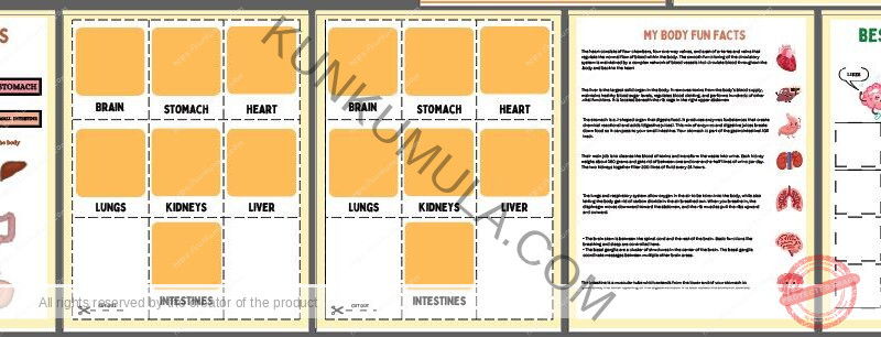 HUMAN ANATOMY BUSY BOOK