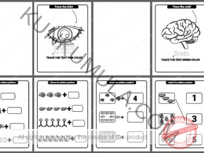 Human Anatomy Coloring Pages Organized