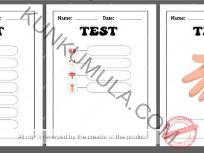LEARNING HUMAN BODY ORGANS BOOK