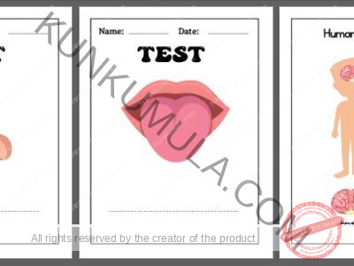 LEARNING HUMAN BODY ORGANS BOOK