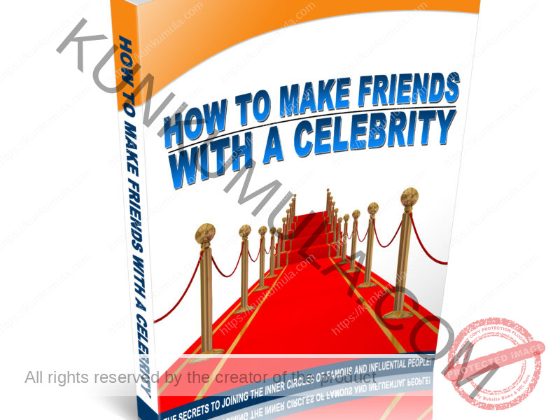 How To Make Friends With A Celebrity Book In Pdf