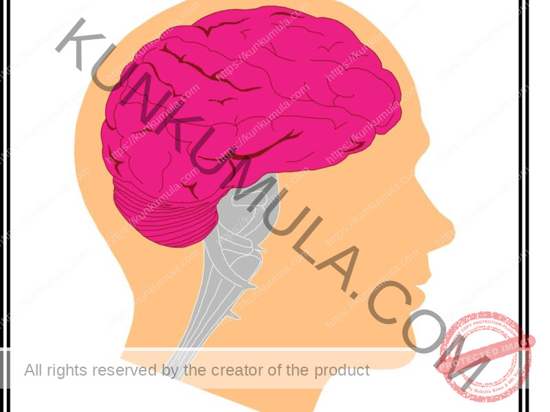 A Programmer’s Guide to the Mind Book in Pdf