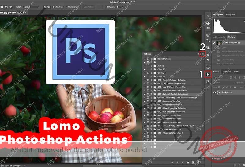 Lomo Photoshop Actions Zipped